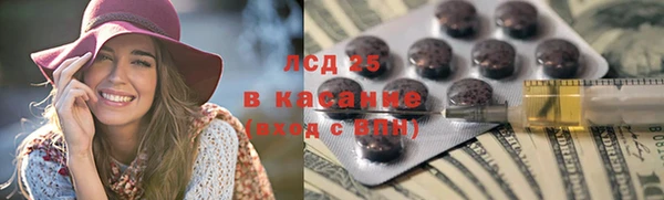 СК Сафоново