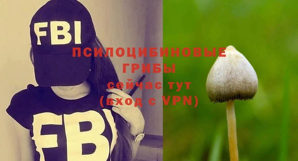 спиды Алексеевка