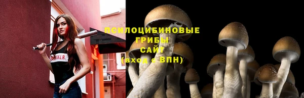 спиды Алексеевка