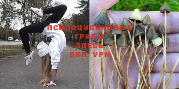винт Алзамай