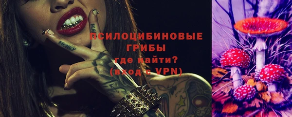 спиды Алексеевка