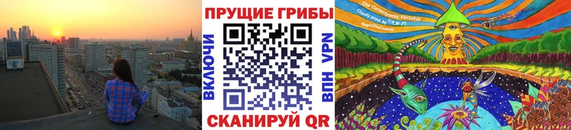 Псилоцибиновые грибы прущие грибы  где купить наркотик  Анадырь 